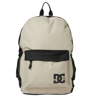 DC Backsider Seasonal 20L - Medium Backpack Plaza Taupe | EMSPIT386