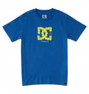 DC Bookworm - T-Shirt 10-16 Azules | XWGPLC712