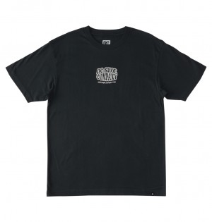 DC Bulgy - T-Shirt Negros | KUQISL413