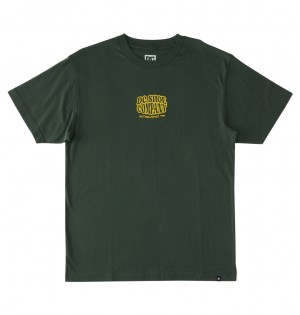 DC Bulgy - T-Shirt Sycamore | BWHFLT654
