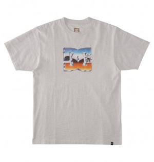 DC Chrome - T-Shirt Snow Heather | SMVPEB403