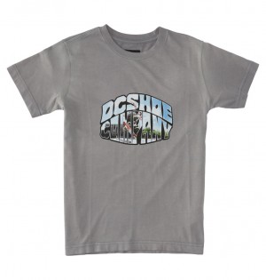 DC Citywide - T-Shirt 10-16 Pewter Potassium Spray | HDXQAI129