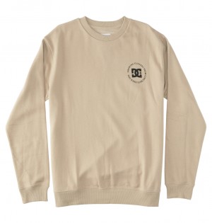 DC Concrete - Sweatshirt Plaza Taupe | LYWIRZ927