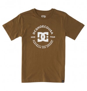 DC DC Star Pilot - Short Sleeve T-Shirt 8-16 Capers | UJXYNT287
