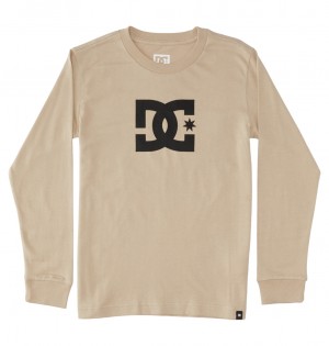 DC DC Star - Long Sleeve T-Shirt Plaza Taupe | FONGHI360