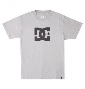 DC DC Star - T-Shirt Grises | LYNGJX549