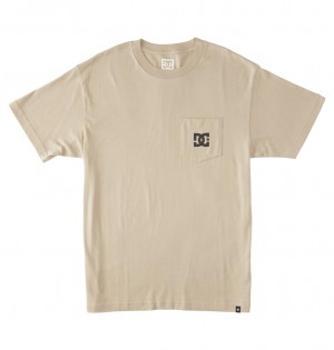 DC DC Star - T-Shirt Plaza Taupe | FCLDTX574