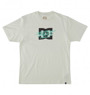 DC Flyer - T-Shirt Blancos | NSAUBC458