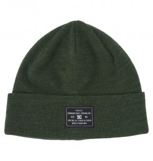 DC Frontline - Cuffed Beanie Sycamore | HUGEIV239