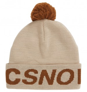 DC Gambol - Beanie Plaza Taupe | BTVSYP028