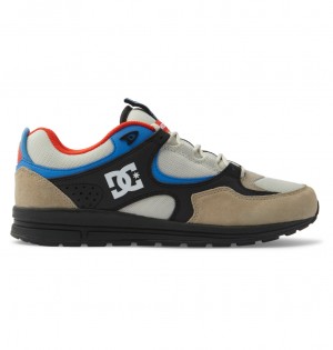 DC Kalis Lite - Leather Shoes Azules Blancos | NAHPKE346