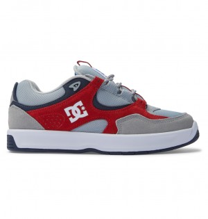 DC Kalynx Zero S - Leather Skate Shoes Grises Rojos | QTIWUB076