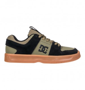 DC Lynx Zero - Leather Shoes Verde Oliva Negros | ENMCIR234