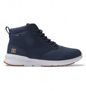 DC Mason 2 - Water Resistant Leather Shoes Azul Marino Blancos | AKOXNT018