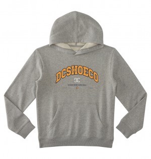 DC Orientation - Pullover Hoodie 10-16 Grises | HYECMA265