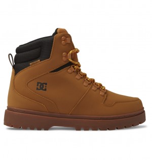 DC Peary Tr - Leather Boots Negros | WKSPAT907