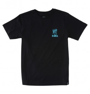 DC Playtime - T-Shirt 10-16 Negros | JBLCDE842