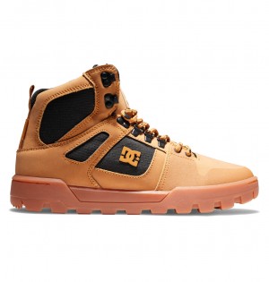 DC Pure Hi - Water Resistant High Top Leather Boots Negros | UYMVBH842