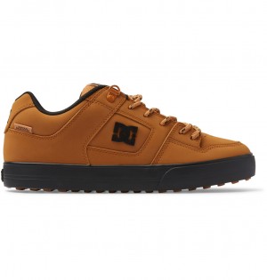 DC Pure WNT - Winterised Shoes Wheat | AVSJZE137