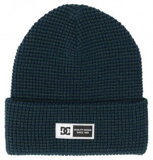 DC Sight - Beanie Sycamore | BLGXUM675