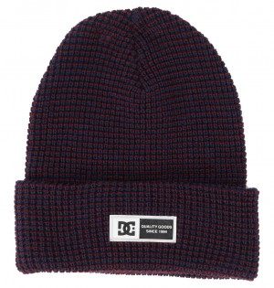 DC Sight - Beanie Tawny Port | DWOXFE542