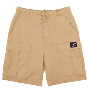 DC Tundra - Cargo Shorts Incense | CVFKZR216