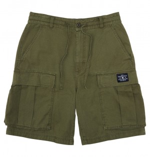 DC Tundra - Cargo Shorts Verdes | SWXCLN197