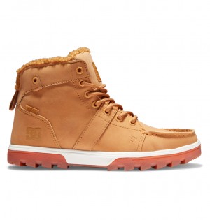 DC Woodland - Sherpa Lined Leather Boots Chocolate | OEDIVA368