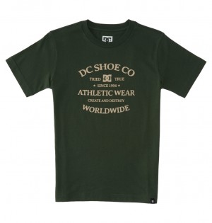DC World Renowed - T-Shirt 10-16 Sycamore | BTQEVC104
