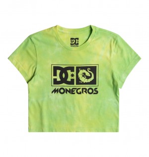 DC x Monegros - Crop Top Verdes | BQYAMF508